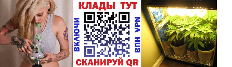 Виды наркоты Грайворон ГАШ  СОЛЬ  MEGA ССЫЛКА  Мефедрон  Марихуана  Cocaine  Амфетамин 