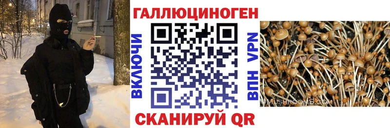 где найти наркотики  это состав  Псилоцибиновые грибы мухоморы  Грайворон 